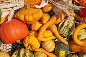 Embracing Fall Decor: Why Gourds Are the Stars of the Season